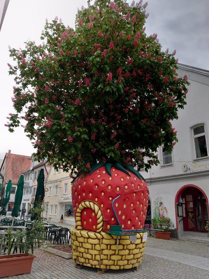 Ferienwohnungen Boegner Günzburg Esterno foto